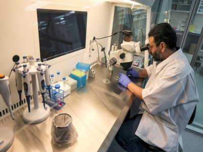 Le docteur Nisar Wani, directeur scientifique du Centre de reproduction biotechnologique, examine des échantillons a microscope, le 4 juin 2021 à Dubaï - Karim SAHIB [AFP]