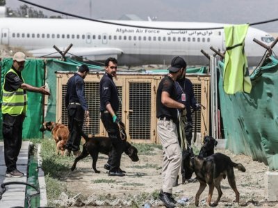 Des chiens, abandonnés lors des évacuations chaotiques après le retour des talibans, sont entraînés à l'aéroport de Kaboul, le 12 septembre 2021 - Karim SAHIB [AFP]