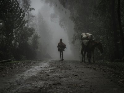 Un jeune garçon et son cheval dans le brouillard de Chenna, le 14 septembre 2021 - Amanuel Sileshi [AFP]