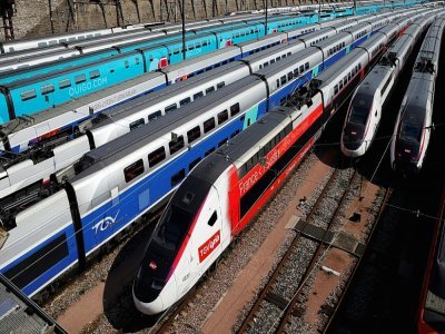 Des TGV stationnés à la Gare de Lyon, le 8 avril 2020 - THOMAS COEX [AFP/Archives]