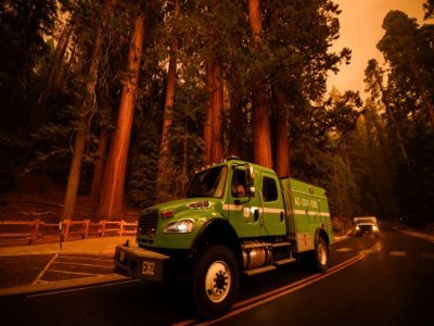 Des engins de lutte contre les incendies passent dans le parc national de Séquoia, près de Red Fir (Californie), le 17 septembre 2021 - Patrick T. FALLON [AFP]