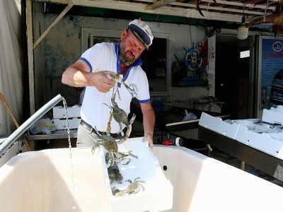 Le capitaine Baci Dyrmishaj, pêcheur depuis plus de 25 ans à Vlora, en Albanie, le 22 juillet 2021 - Gent SHKULLAKU [AFP]