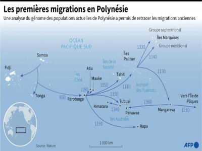 Les premières migrations en Polynésie - Cléa PÉCULIER [AFP]