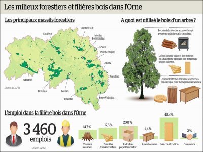 Le milieu forestier de l'Orne.