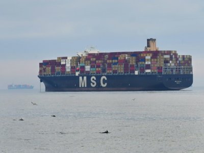 Un porte-conteneur de l'entreprise MSC (Mediterranean Shipping Company) en attente de déchargement des marchandises dans le port de Los Angeles (Californie) le 6 octobre 2021 - Frederic J. BROWN [AFP]