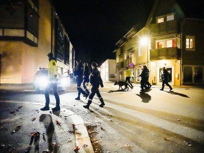 Des policiers sur les lieux d'une attaque meurtrière à l'arc, le 13 octobre 2021 à Kongsberg, en Norvège - Håkon Mosvold Larsen [NTB/AFP]