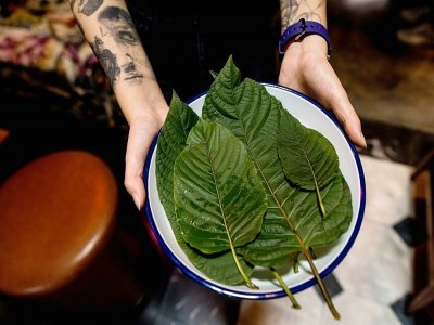 Des feuilles de kratom, une plante utilisée depuis des siècles en Asie du Sud-Est, qui sert à préparer des "mocktails" au bar Teens of Thailand, le 9 octobre 2021 à Bangkok - Jack TAYLOR [AFP]