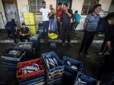 Des pêcheurs palestniens exposent leur pêche avant de les vendre au marché des poissons, le 22 septembre 2021 à Gaza - MAHMUD HAMS [AFP]