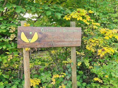 Graines d'Ormeaux est la seule école de type Montessori dans l'Orne.
