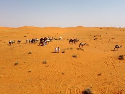 Des Bédouins éleveurs de chameaux dans le désert d'Al Nufud Al Kabir, le 27 juillet 2021 en Arabie saoudite - Rania SANJAR [AFP/Archives]