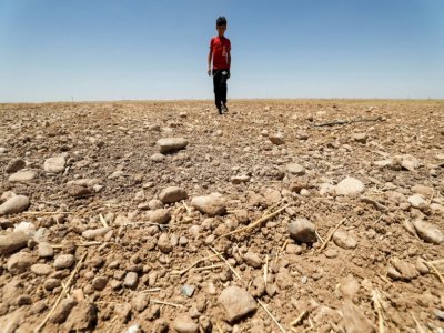 Un enfant dans un champ agricole desséché dans l'est de l'Irak, le 24 juin 2021 - AHMAD AL-RUBAYE [AFP/Archives]