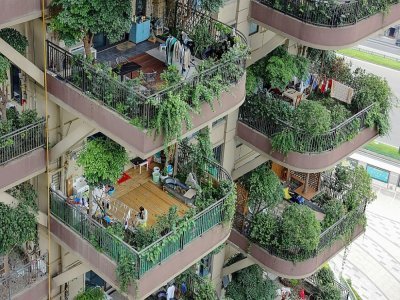 Des balcons couverts de plantes vertes à Chengdu, dans le sud-ouest de la Chine, le 12 juillet 2021 - STR [AFP]