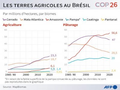 Les terres agricoles au Brésil - Patricio ARANA [AFP]