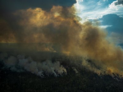 Un feu illégal dans la forêt amazonienne près de Labrea, au Brésil, le 15 septembre 2021 - MAURO PIMENTEL [AFP]