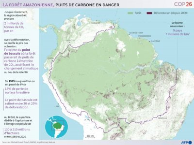La forêt amazonienne, puits de carbone en danger - Patricio ARANA [AFP]