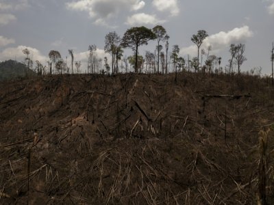 Des terres brûlées près de la ville de Sao Felix do Xingu, au Brésil, le 20 septembre 2021 - MAURO PIMENTEL [AFP]