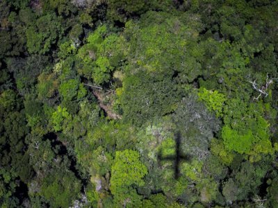 Vue aérienne de la forêt amazonienne le 13 octobre 2014 au Brésil - RAPHAEL ALVES [AFP/Archives]
