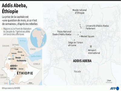 Addis Abeba, Éthiopie - Gal ROMA [AFP]
