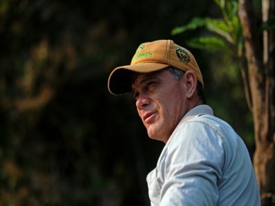 Roberto Eduardo Stofel travaille pour un programme de préservation des harpies à Cotriguacu, le 30 août 2021 à Alta Floresta, au Brésil - CARL DE SOUZA [AFP]