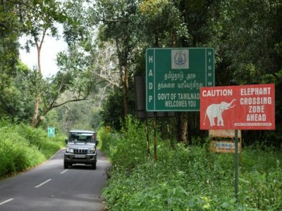 Un panneau avertissant du possible passage d'éléphants sauvages sur une route de la réserve Mudumalai Tiger (Inde) le 17 septembre 2021 - Manjunath Kiran [AFP]