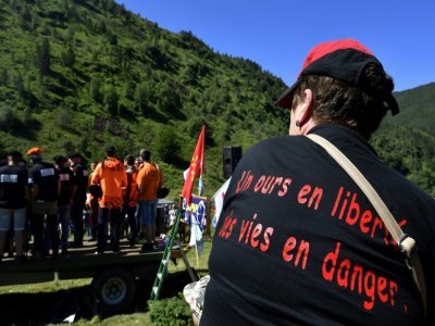 Lors d'un rassemblement d'opposants aux ours dans les Pyrénées, à Aulus-les-bains, en Ariège, le 4 juillet 2020 - GEORGES GOBET [AFP/Archives]