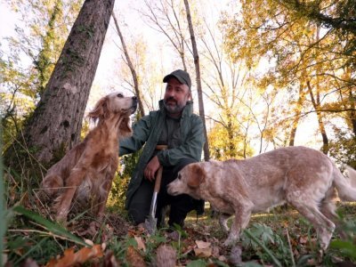 Ivan Vukadonovic, vice-président de l'Association des chasseurs de truffes d'Istrie, dans la forêt avec ses chiens près de Motovun, le 27 octobre 2021 en Croatie - Damir SENCAR [AFP]