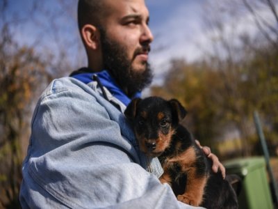 Un chiot dans les bras d'un employé du refuge de Gracanica, le 12 novembre 2021 au Kosovo - Armend NIMANI [AFP]