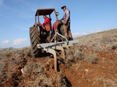 Hassan Trad laboure un champ près du village de Kfar Tibnit, le 22 novembre 2021 dans le sud du Liban - Joseph EID [AFP]