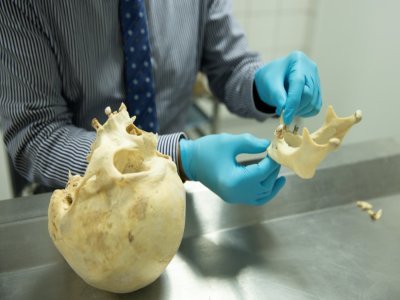 Aimé Conigliaro, expert odontologue civil de l'IRCGN examine des dents sur une mandibule humaine au Centre judiciaire de la gendarmerie française à Cergy dans le Val-d'Oise, le 22 novembre 2021 - Thomas SAMSON [AFP]