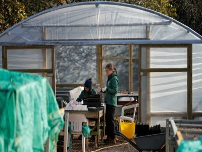 Des stagiaires de la pépinière Moor Trees sélectionnent des graines, le 22 novembre 2021 près de Totnes, dans le sud-ouest de l'Angleterre - ADRIAN DENNIS [AFP]