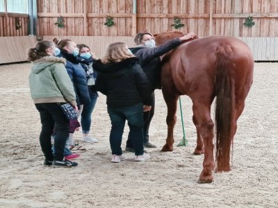 Les lycéens ont eu leur premier contact avec les chevaux.