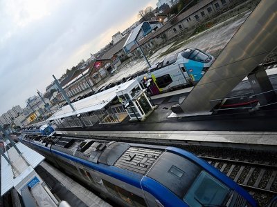 Des trains régionaux en gare de Rennes, le 9 décembre 2019 - Damien MEYER [AFP/Archives]
