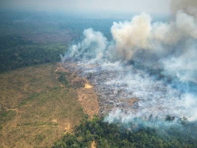 Incendie dans le parc national de Chiribiquete, dans le nord-ouest de l'Amazonie colombienne, le 4 février 2022 - Karen SALAMANCA [Ministère colombjen de la Défense/AFP]