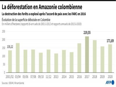 La déforestation en Amazonie colombienne - Tupac POINTU [AFP/Archives]