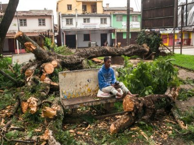 Des arbres abattus par le cyclone Batsirai dans un square d'Antsirabe, le 6 février 2022 à Madagascar - RIJASOLO [AFP]
