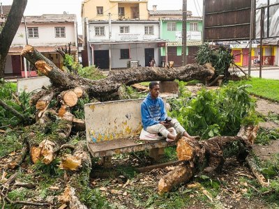 Des arbres abattus par le cyclone Batsirai dans un square d'Antsirabe, le 6 février 2022 à Madagascar - RIJASOLO [AFP]