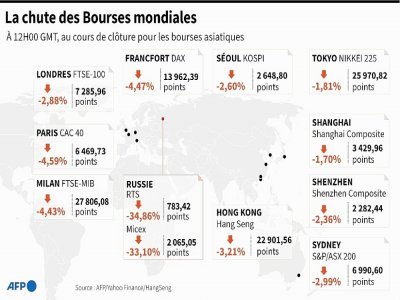 La chute des Bourses mondiales - Sylvie HUSSON [AFP]