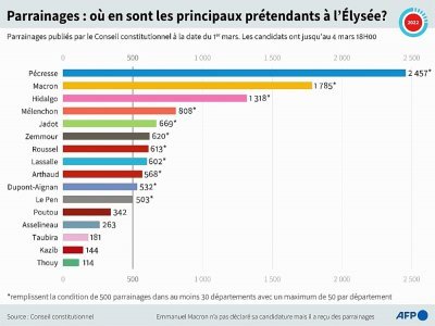 Parrainages : où en sont les principaux prétendants à l'Elysée - Sylvie HUSSON [AFP]