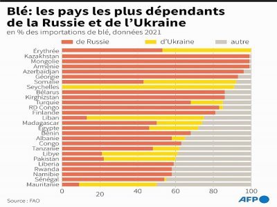 Blé: les pays les plus dépendants de la Russie et de l'Ukraine - Sylvie HUSSON [AFP]