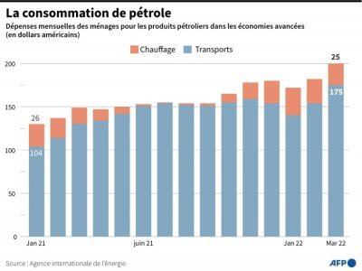 La consommation de pétrole - Emmanuelle MICHEL [AFP]