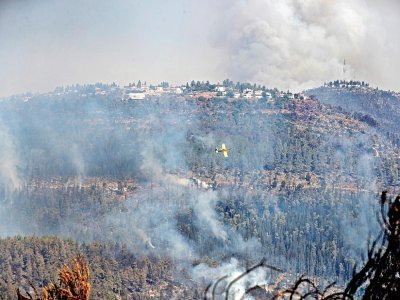 Un avion bombardier d'eau au-dessus d'un feu de forêt le 16 août 2021 près du village israélien de Moshav Shoresh - Ahmad GHARABLI [AFP/Archives]
