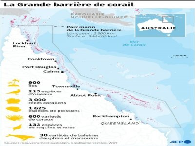 La Grande barrière de corail - [AFP/Archives]