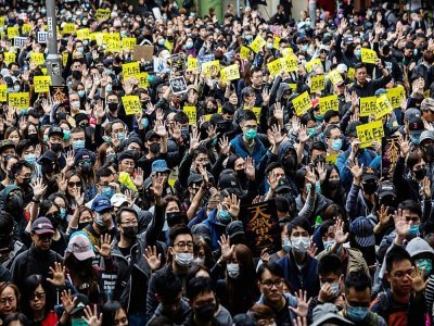Des manifestants pro-démocratie à Hong Kong le 1er janvier 2020 - ISAAC LAWRENCE [AFP/Archives]