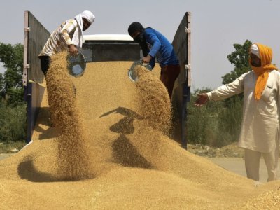 Déchargeant le blé dans la banlieue d'Amritsar, en Inde, le 16 avril 2022 - Narinder NANU [AFP]