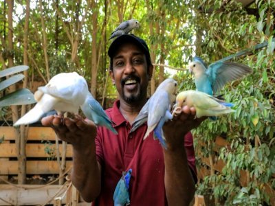 Akram Yehia, propriétaire de la réserve naturelle Marshall à Khartoum, posant avec des perruches, le 14 mai 2022 - - [Khartoum Marshall Nature Reserve/AFP]