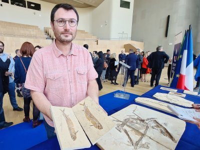 Sylvain Charbonnier, paléontologue au musée d'histoire naturelle de Paris, a été mandaté comme expert dans cette affaire.