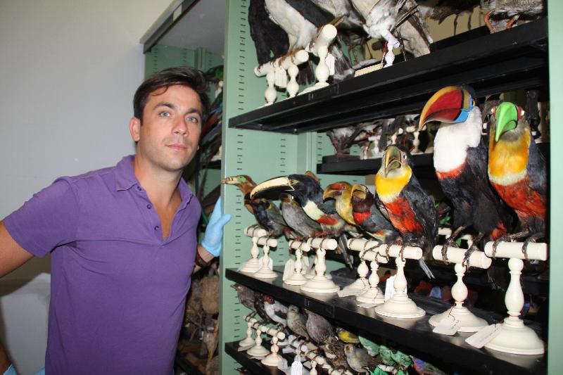 Les réserves du Muséum cachent de très beaux specimens d'oiseaux naturalisés - Anne Letouzé