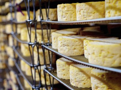 La fromagerie Graindorge propose une visite et une dégustation de ses fromages. - Le Photographe du Dimanche