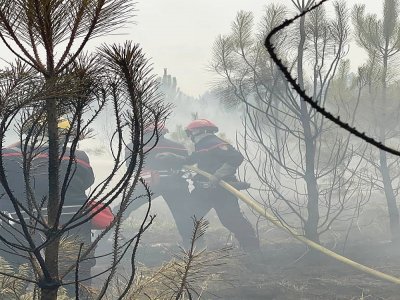 Le feu de Landiras a brûlé 4 200 hectares de pinède. - SDIS50