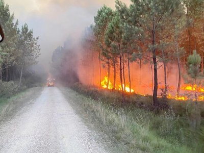 Le feu de Landiras a parcouru plus de 7 200 hectares.  - SDIS 50